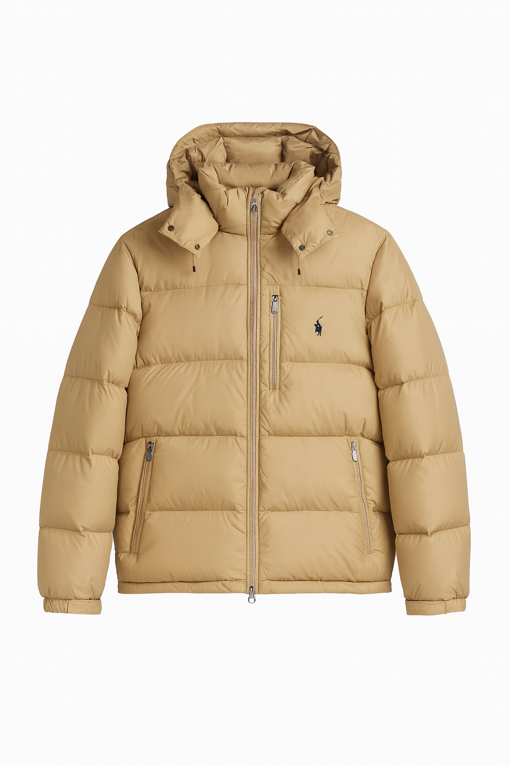 'RL' Shiny Puffer