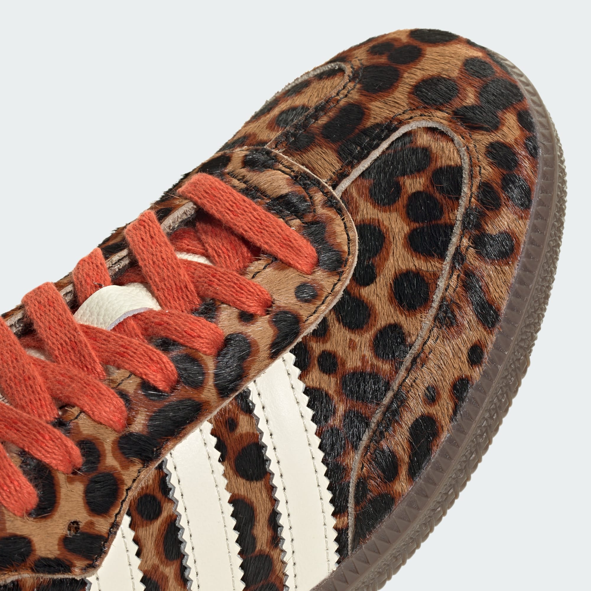 Samba leopard