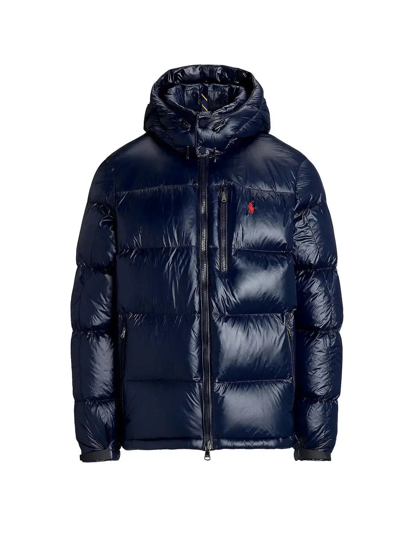 'RL' Shiny Puffer